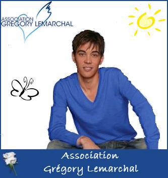 petition les fleurs de l'�ternit�: lisez attentivement et agissez vite